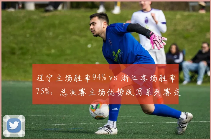 辽宁主场胜率94% vs 浙江客场胜率75%,总决赛主场优势改写系列赛走向