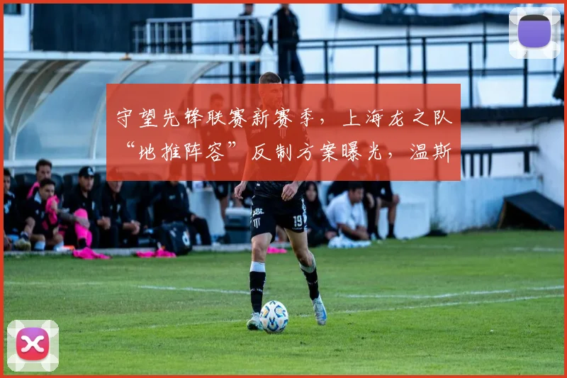 守望先锋联赛新赛季，上海龙之队“地推阵容”反制方案曝光，温斯顿上场率可能骤降