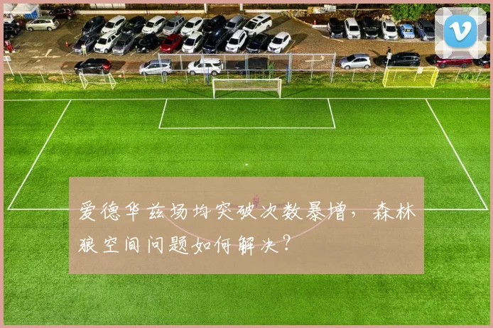 爱德华兹场均突破次数暴增，森林狼空间问题如何解决？